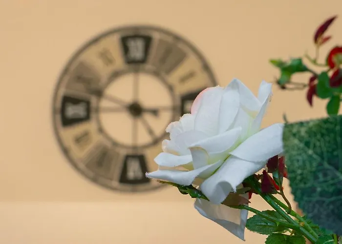 Time For Your Holidays La Spezia